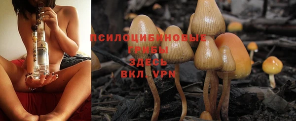 винт Михайловка