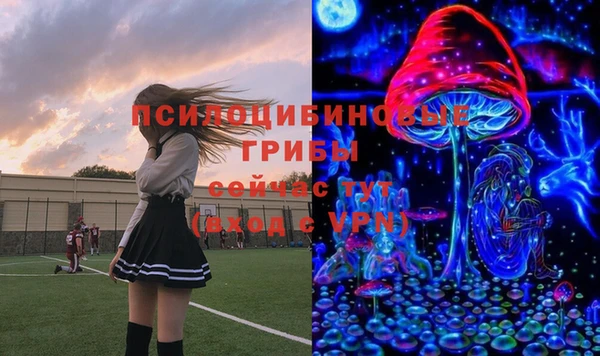 винт Михайловка