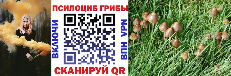 Галлюциногенные грибы Magic Shrooms  Рязань 