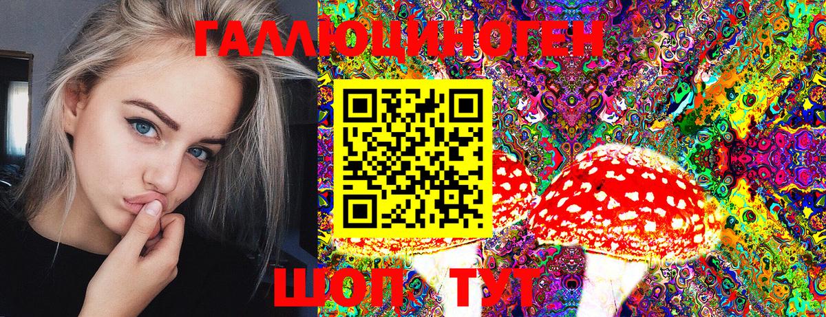 Псилоцибиновые грибы Psilocybe  Вход с VPN  Рязань 