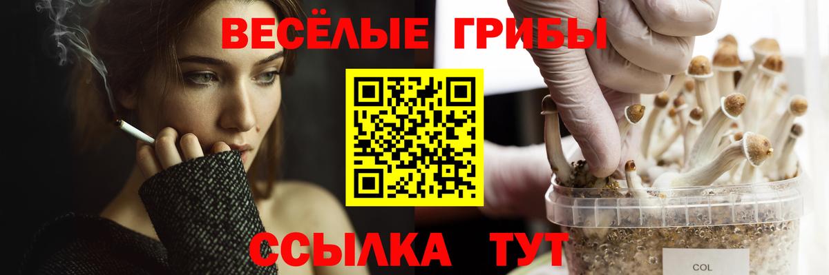 Галлюциногенные грибы прущие грибы Рязань